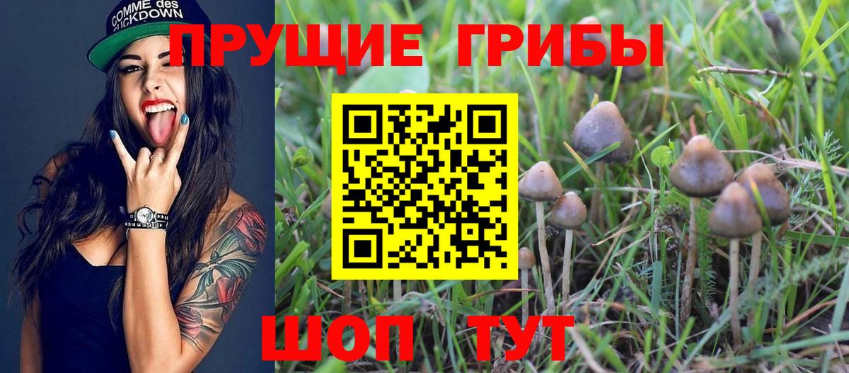 Конопля Полевской