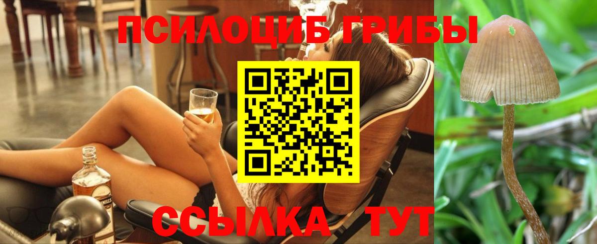 Полевской  Галлюциногенные грибы Psilocybine cubensis  Галлюциногенные грибы Psilocybine cubensis  Вход с VPN 