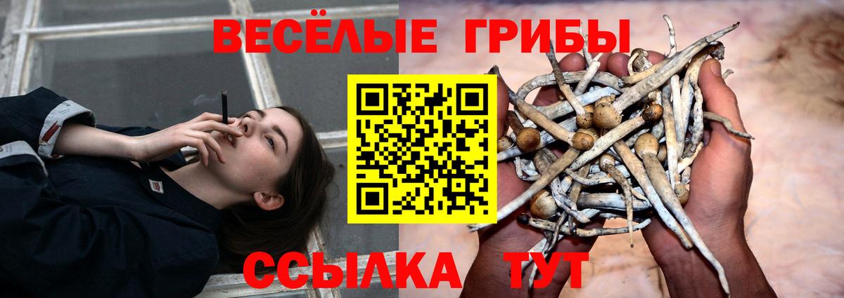 Галлюциногенные грибы мухоморы Полевской